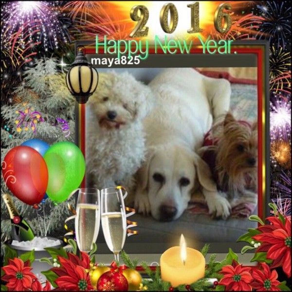 bonne année  a tous